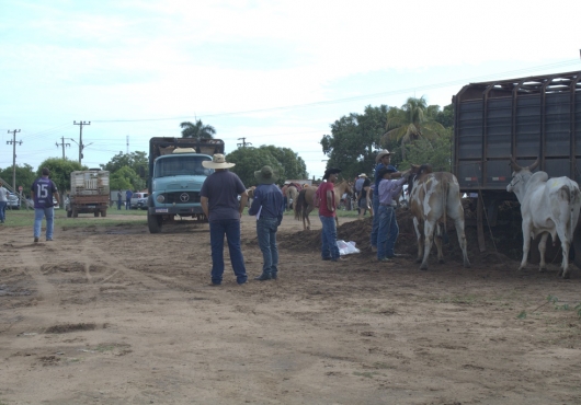 S�o Jos� do Povo | 