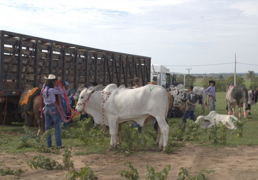 S�o Jos� do Povo | 