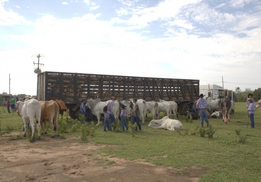 S�o Jos� do Povo | 