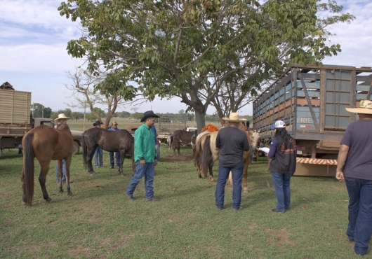 S�o Jos� do Povo | 