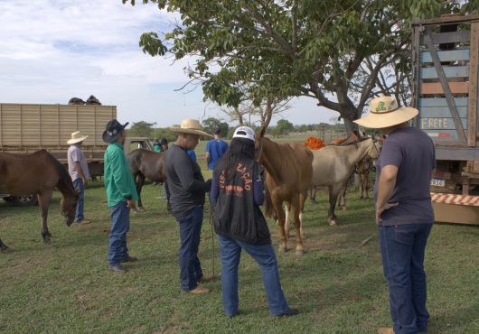 S�o Jos� do Povo | 