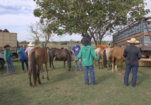 S�o Jos� do Povo | 