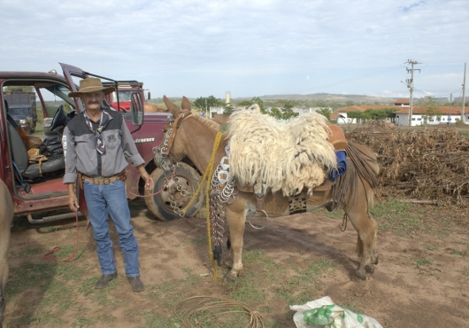 S�o Jos� do Povo | 