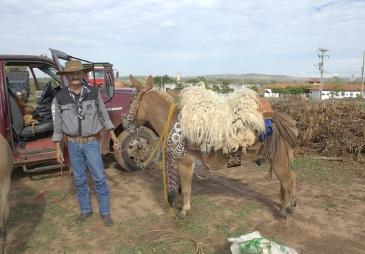 S�o Jos� do Povo | 