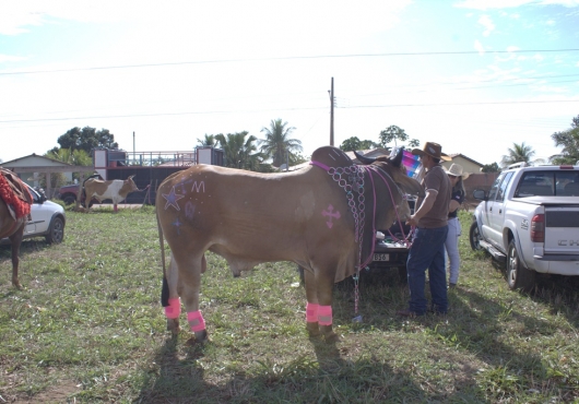 S�o Jos� do Povo | 