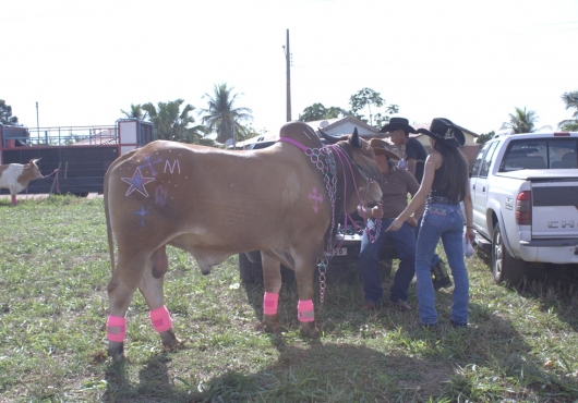 S�o Jos� do Povo | 