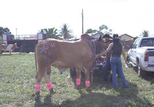 S�o Jos� do Povo | 