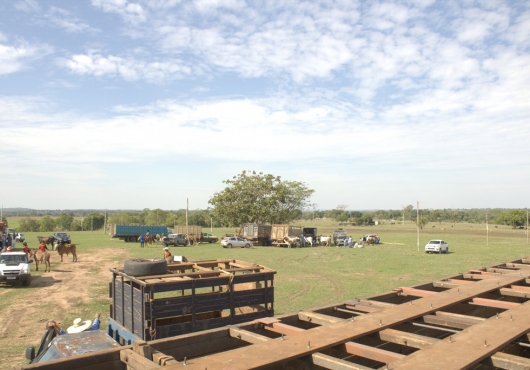 S�o Jos� do Povo | 