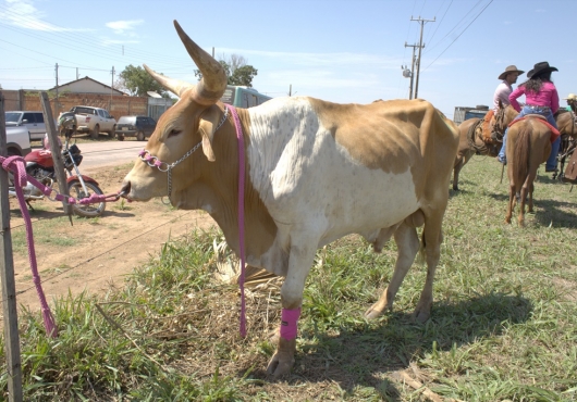 S�o Jos� do Povo | 