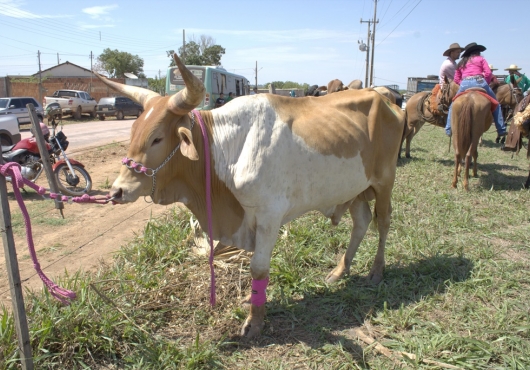 S�o Jos� do Povo | 