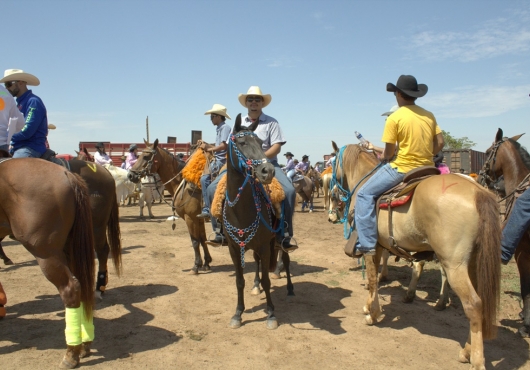 S�o Jos� do Povo | 