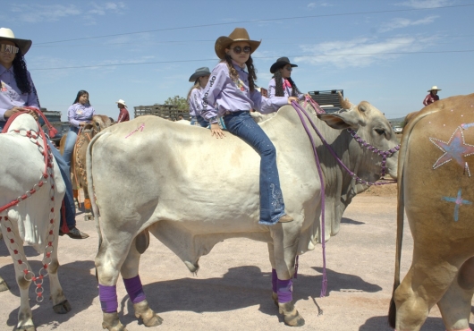 S�o Jos� do Povo | 