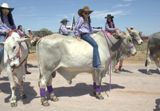 S�o Jos� do Povo | 