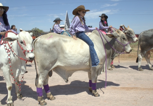 S�o Jos� do Povo | 