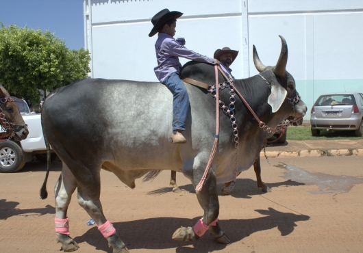 S�o Jos� do Povo | 