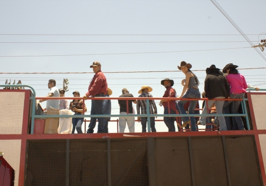 S�o Jos� do Povo | 