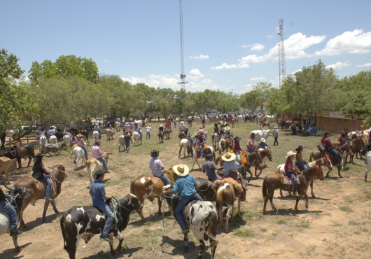 S�o Jos� do Povo | 