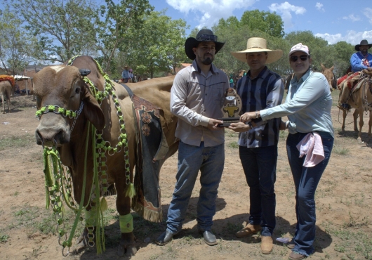 S�o Jos� do Povo | 