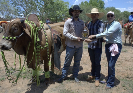 S�o Jos� do Povo | 