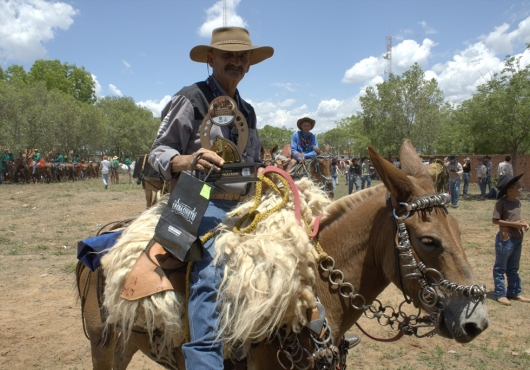 S�o Jos� do Povo | 